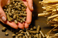 free Pin Green biomass boiler quotes